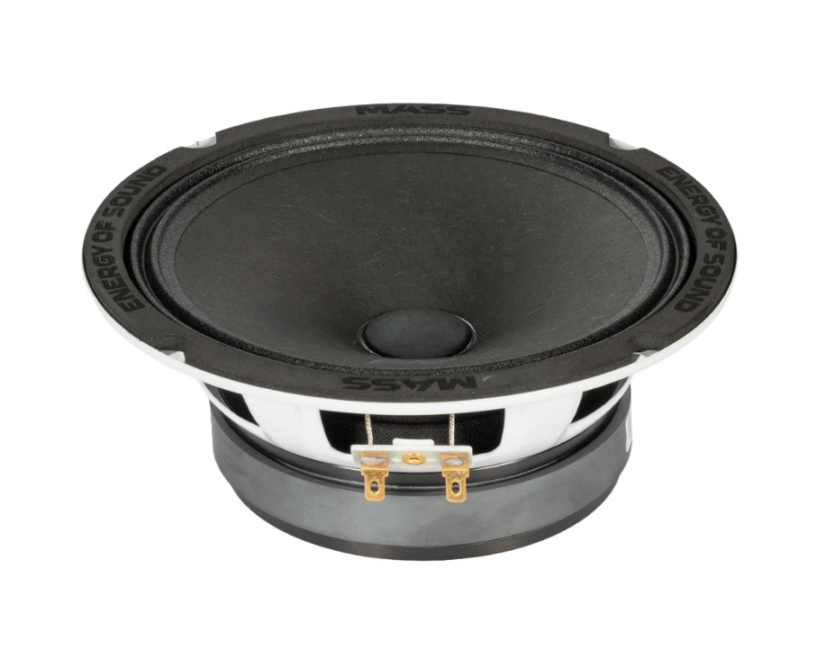 kypit_avtoakustika-amp-mass-fr65p100