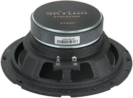 kypit_avtoakustika-skylor-evo6c