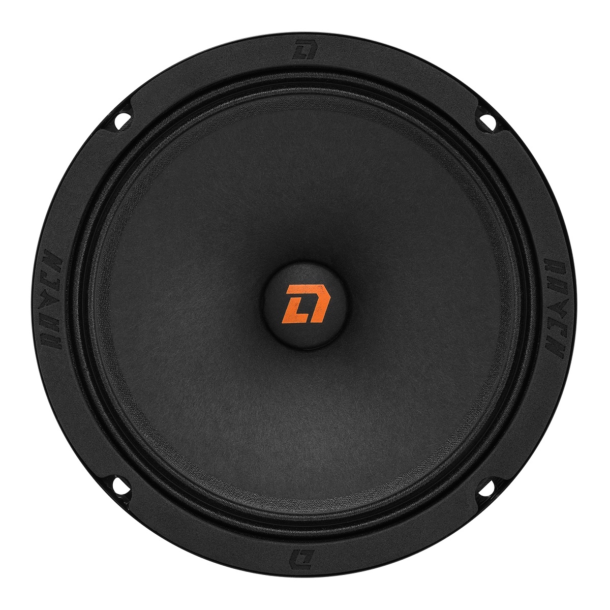 kypit_avtoakustika-dl-audio-raven-165-v-2