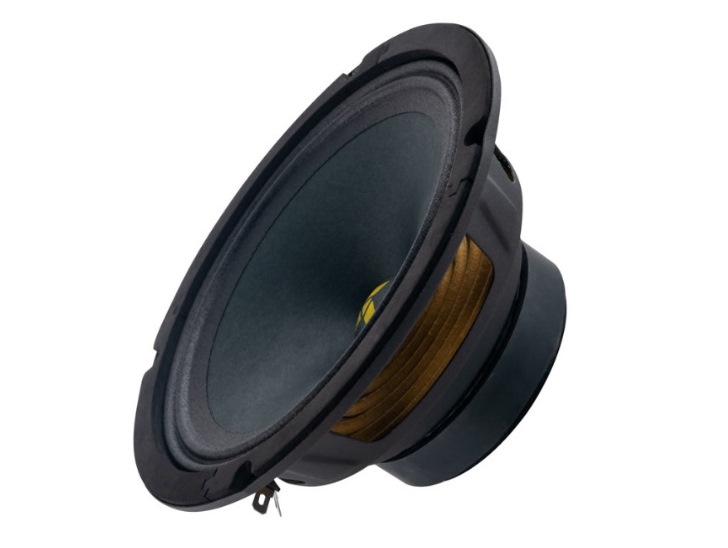 kypit_avtoakustika-swat-mas-65pro