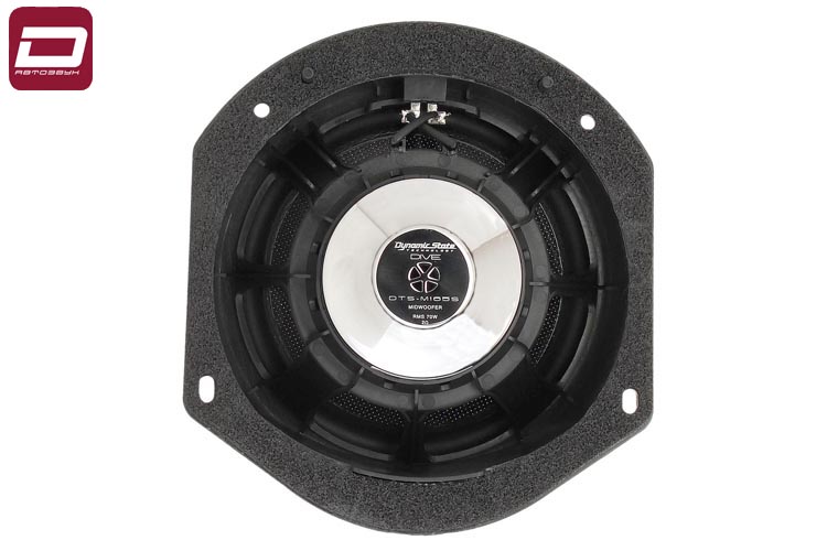 kypit_avtoakustika-dynamic-state-dts-cs165s-tesla