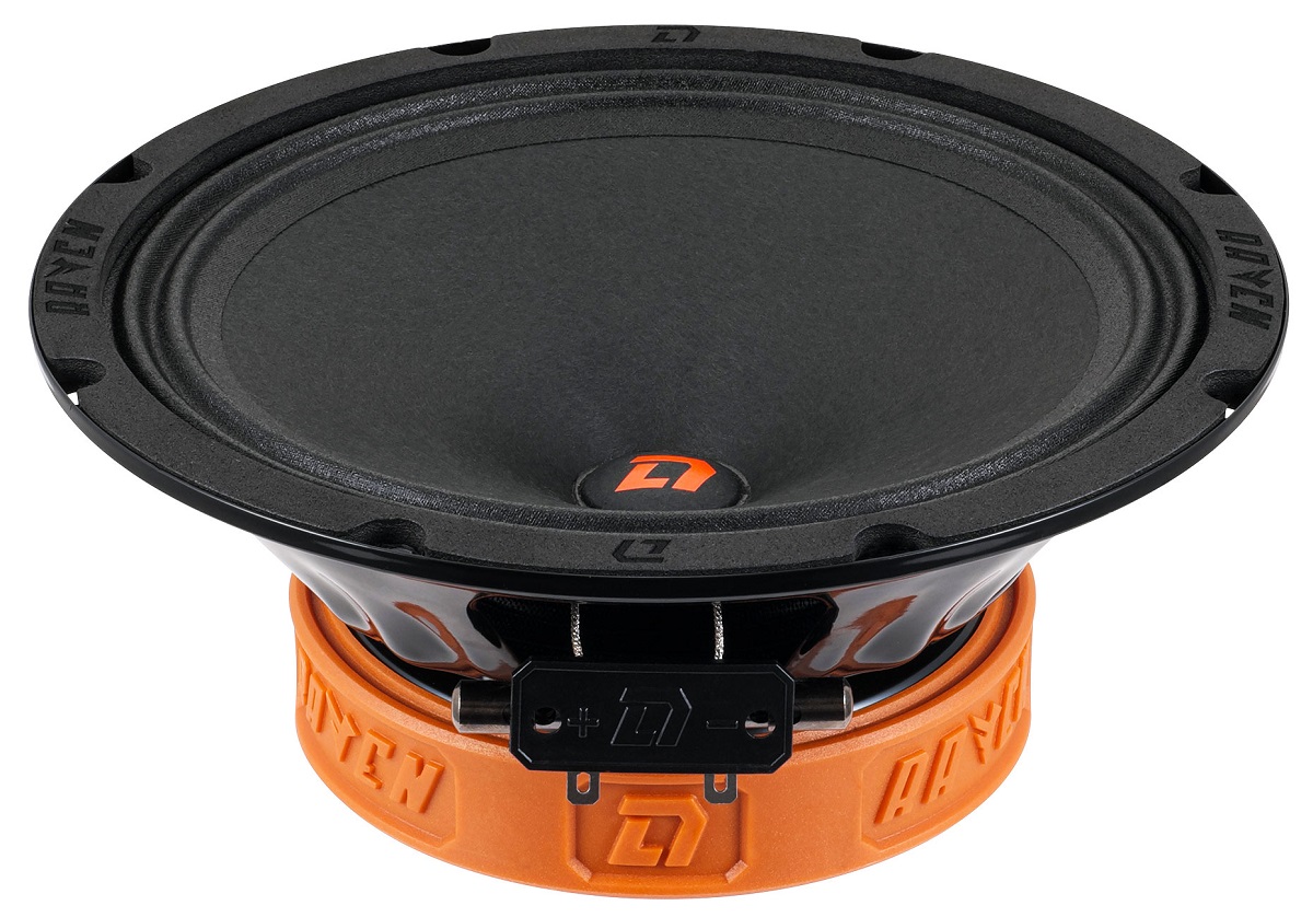 kypit_avtoakustika-dl-audio-raven-200-v-2