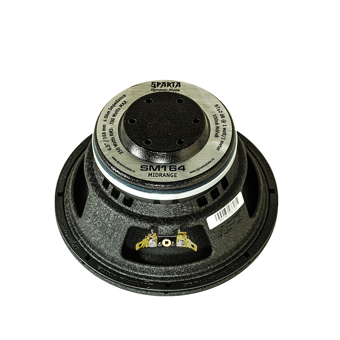 kypit_avtoakustika-dynamic-state-sparta-sm164-4om