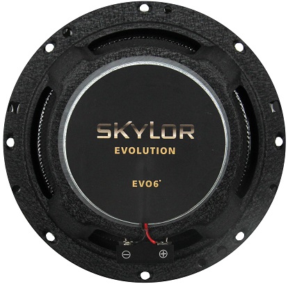 kypit_avtoakustika-skylor-evo6
