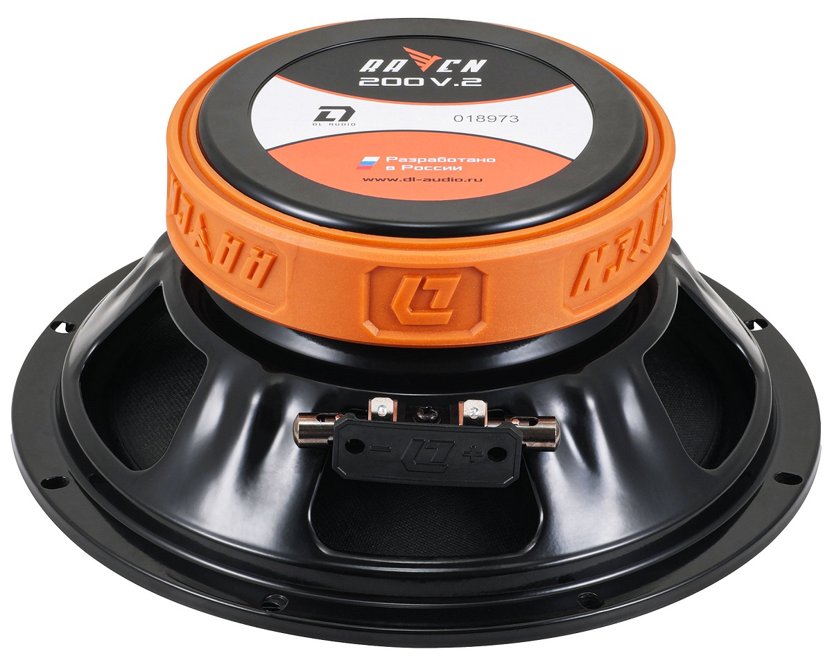 kypit_avtoakustika-dl-audio-raven-200-v-2