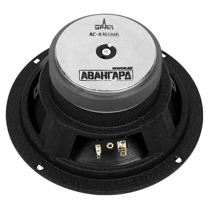 kypit_avtoakustika-ural-avangard-as-a165mb