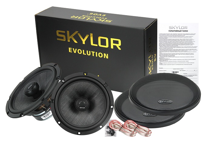 kypit_avtoakustika-skylor-evo6