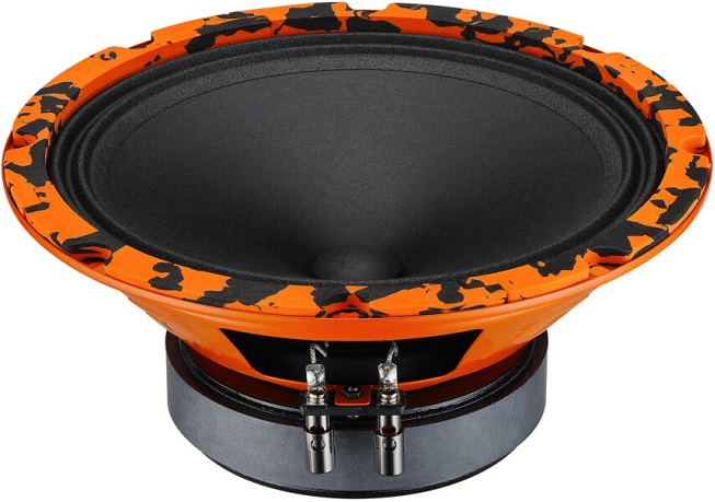 kypit_avtoakustika-dl-audio-gryphon-pro-200-sch-dinamik