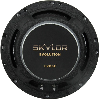 kypit_avtoakustika-skylor-evo6c