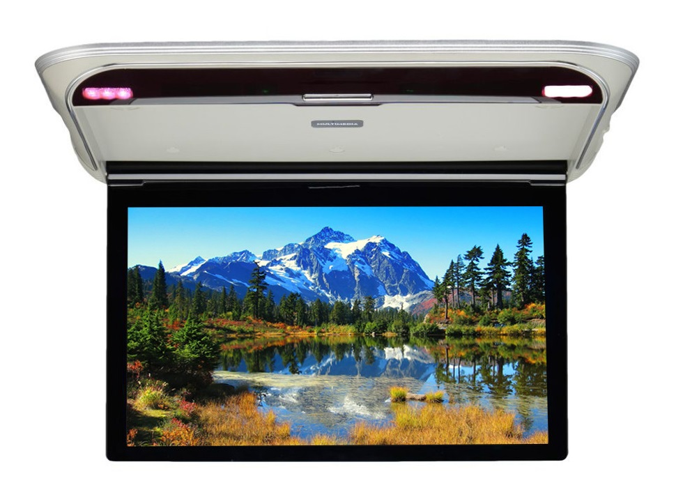 kypit_potolochnyy-monitor-ergo-er17m-seryy