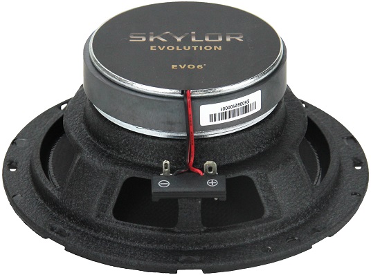 kypit_avtoakustika-skylor-evo6