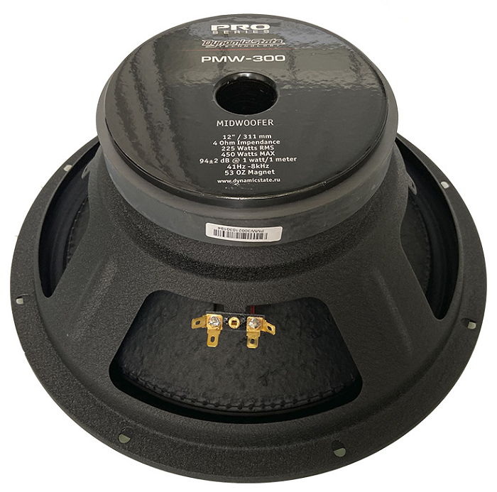 kypit_avtoakustika-dynamic-state-pro-pmw-300