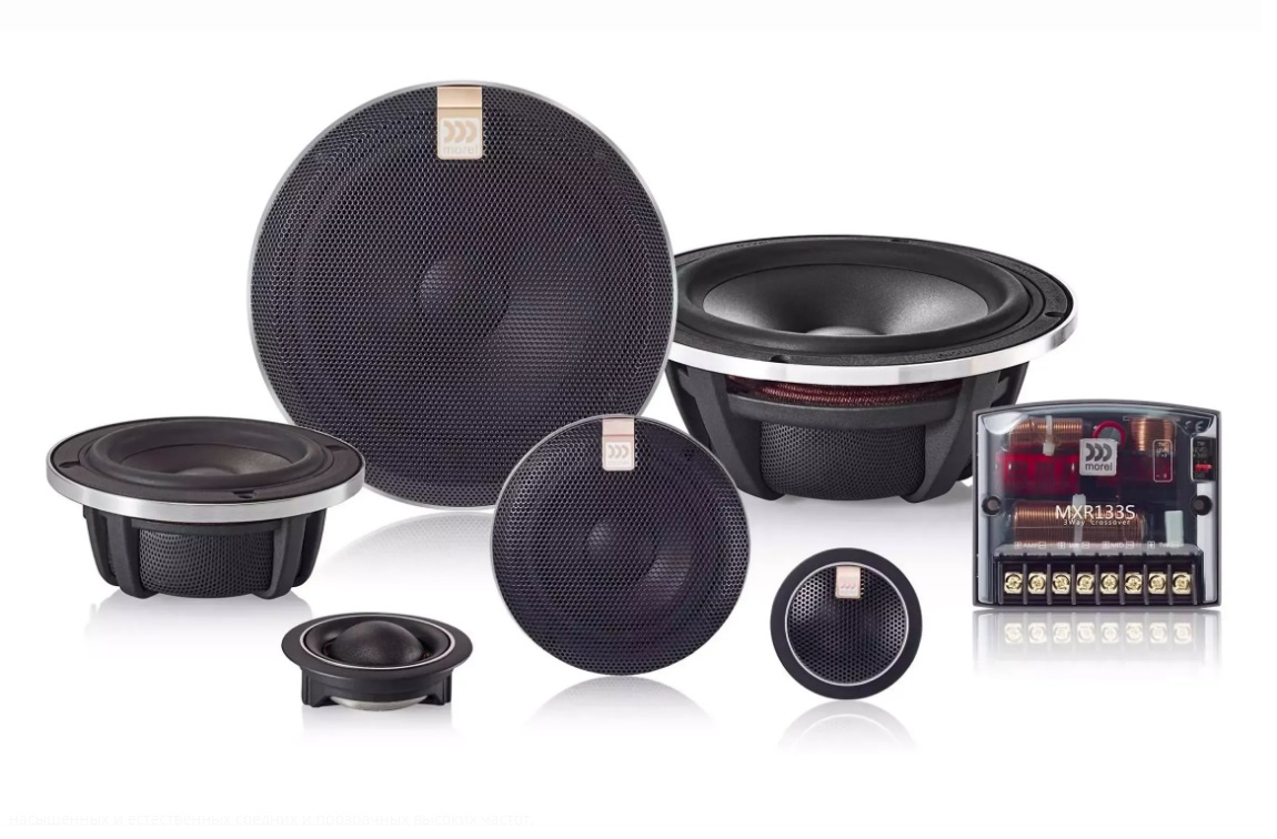 kypit_avtoakustika-morel-sensus-63