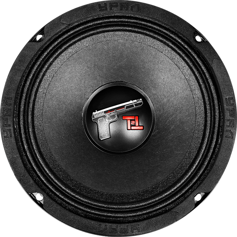 kypit_avtoakustika-ural-tt-165-2-2-sht-