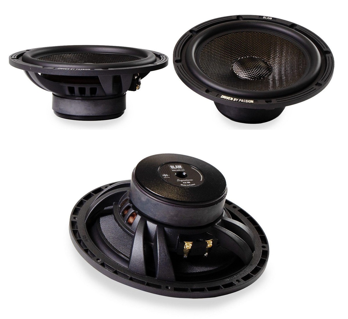 kypit_avtoakustika-blam-s8100