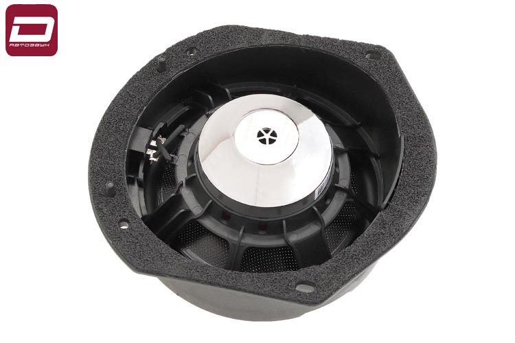 kypit_avtoakustika-dynamic-state-dts-cs165s-tesla