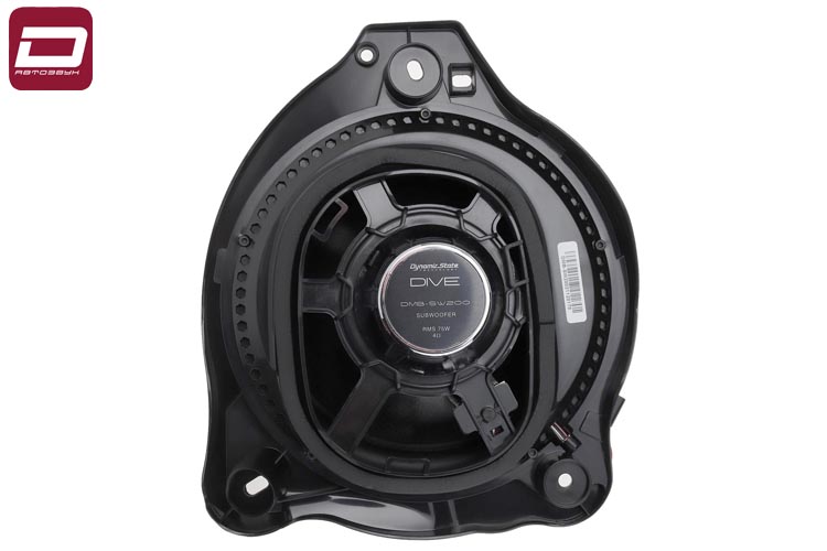 kypit_avtosabvufer-dynamic-state-dmb-sw200