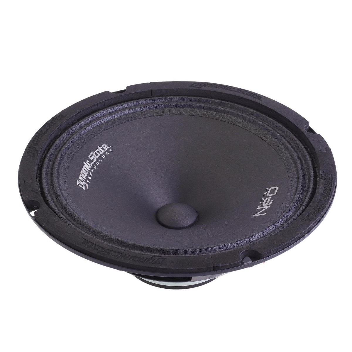 kypit_avtoakustika-dynamic-state-neo-nm-20-midel