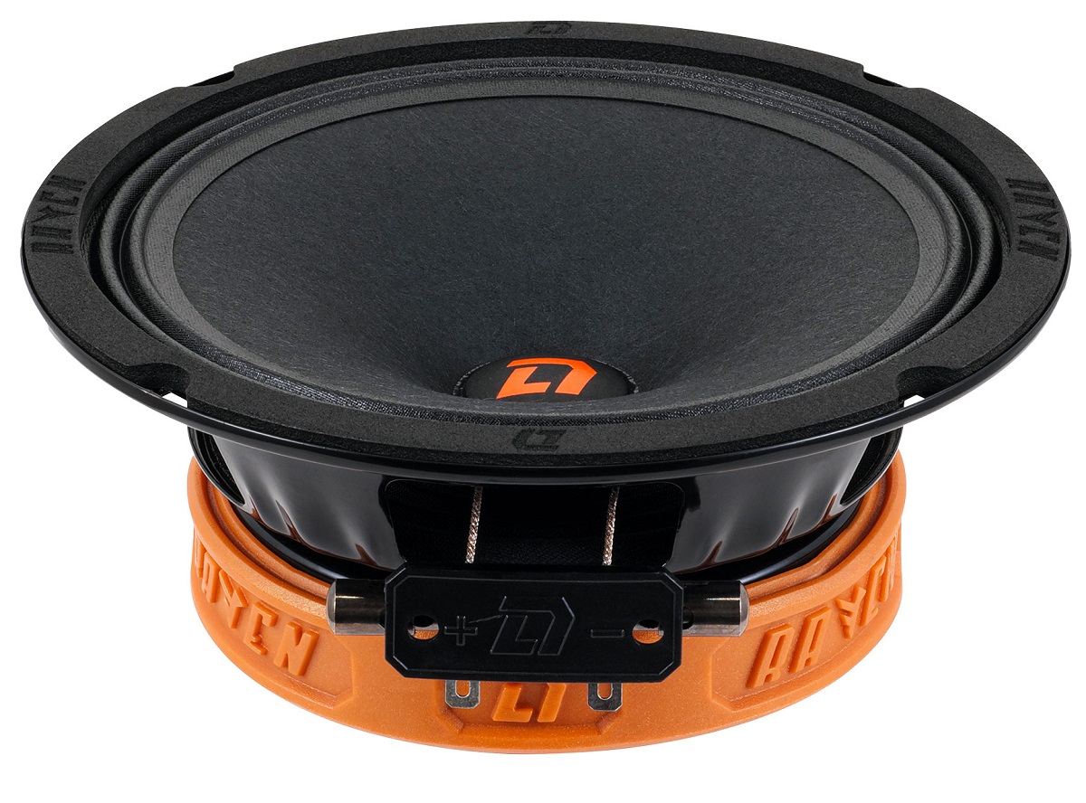 kypit_avtoakustika-dl-audio-raven-165-v-2