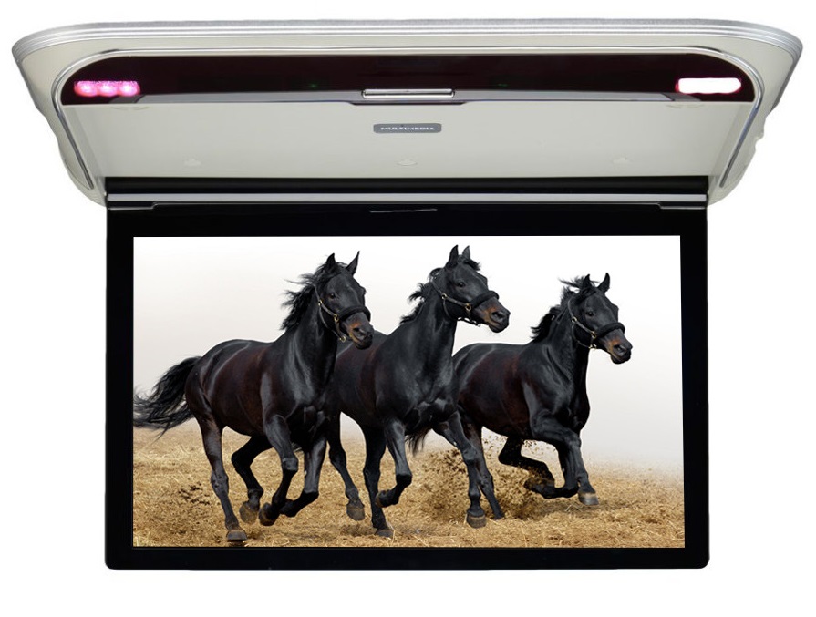 kypit_potolochnyy-monitor-ergo-er15m-seryy